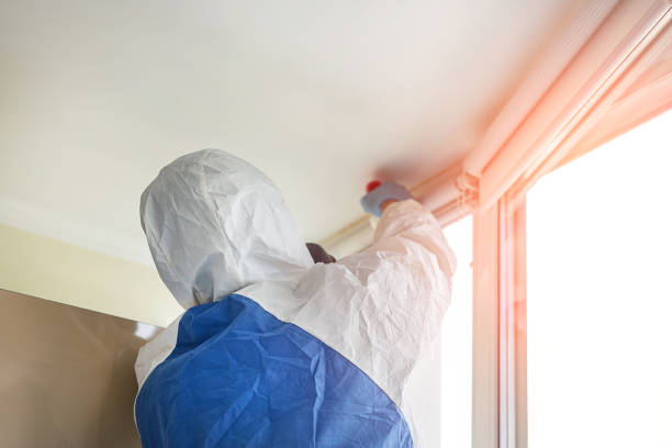 Best Emergency Mold Remediation  in Bay Harbor Islands, FL